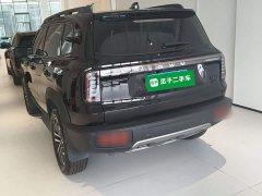 Great Wall Dachshund 2026 2.0T DCT Chinese Rural Dog Edition - ფოტო 4