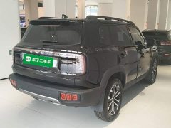 Great Wall Dachshund 2026 2.0T DCT Chinese Rural Dog Edition - ფოტო 6