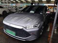 BYD Qin PLUS 2024 Glory Edition DM-i 55KM Leading - ფოტო 1