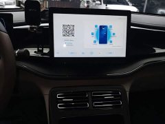 BYD Qin PLUS 2024 Glory Edition DM-i 55KM Leading - ფოტო 12