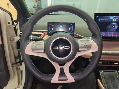 BYD Seagull Flying Edition - ფოტო 10