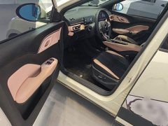 BYD Seagull Flying Edition - ფოტო 15