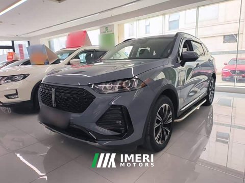 2022 Great Wall DHT 1.5T DHT - ავტომობილი ჩინეთიდან