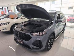Great Wall DHT 1.5T DHT - ფოტო 19
