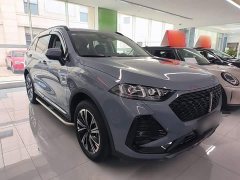 Great Wall DHT 1.5T DHT - ფოტო 3
