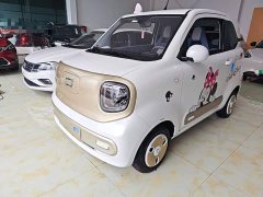 FAW Besturn Xiaoma 222km Dynamic Edition - ფოტო 1