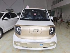 FAW Besturn Xiaoma 222km Dynamic Edition - ფოტო 2