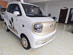 FAW Besturn Xiaoma 222km Dynamic Edition - ფოტო 3