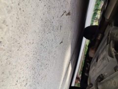 Great Wall Dachshund 2022 2.0T DCT Four-Wheel Drive Chinese Rural Dog Edition - ფოტო 16