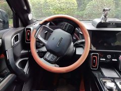 Great Wall Dachshund 2022 2.0T DCT Four-Wheel Drive Chinese Rural Dog Edition - ფოტო 2
