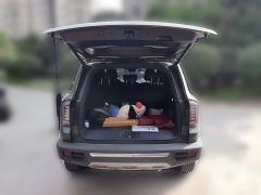 Great Wall Dachshund 2022 2.0T DCT Four-Wheel Drive Chinese Rural Dog Edition - ფოტო 9