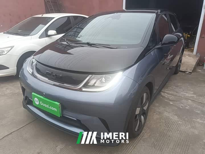 BYD Dolphin 401km Knight Edition