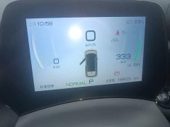 BYD Dolphin 2023 401km Knight Edition - ფოტო 11