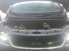 BYD Dolphin 2023 401km Knight Edition - ფოტო 19