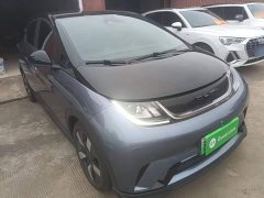 BYD Dolphin 2023 401km Knight Edition - ფოტო 3
