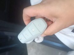 BYD Dolphin 2023 401km Knight Edition - ფოტო 8