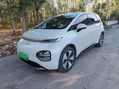 Baojun Yunduo 2023 460 Max Lingxi Edition - ფოტო 1