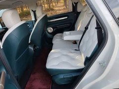 Baojun Yunduo 2023 460 Max Lingxi Edition - ფოტო 16