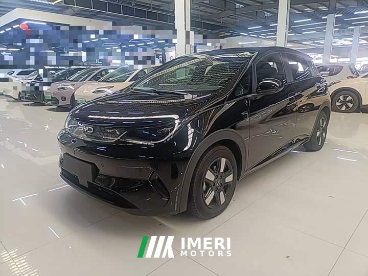 BYD Dolphin 2025 Smart Drive 410km Fashion Edition - ავტომობილი ჩინეთიდან