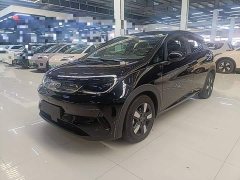 BYD Dolphin 2025 Smart Drive 410km Fashion Edition - ფოტო 1