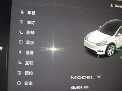 Tesla Model Y Rear-Wheel Drive - ფოტო 11