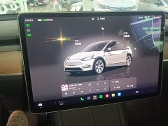 Tesla Model Y Rear-Wheel Drive - ფოტო 12