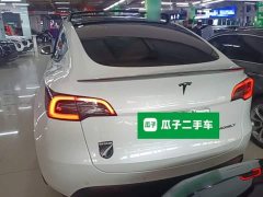 Tesla Model Y Rear-Wheel Drive - ფოტო 5