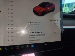 Tesla Model Y Long Range All-Wheel Drive - ფოტო 11