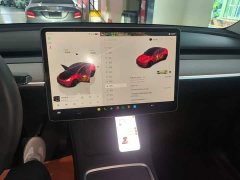 Tesla Model Y Long Range All-Wheel Drive - ფოტო 12