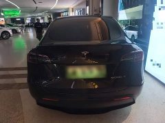 Tesla Model Y Long Range All-Wheel Drive - ფოტო 5