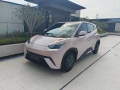BYD Seagull Glory Edition 305km Vitality Version - ფოტო 1