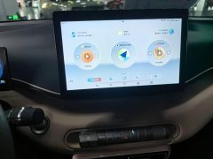 BYD Seagull Glory Edition 305km Vitality Version - ფოტო 12