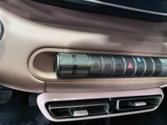 BYD Seagull Glory Edition 305km Vitality Version - ფოტო 13