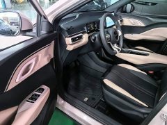 BYD Seagull Glory Edition 305km Vitality Version - ფოტო 15