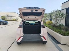 BYD Seagull Glory Edition 305km Vitality Version - ფოტო 18