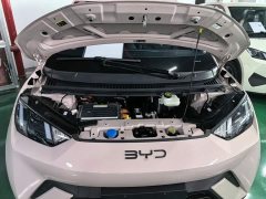BYD Seagull Glory Edition 305km Vitality Version - ფოტო 19