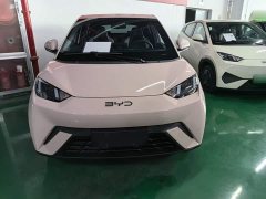BYD Seagull Glory Edition 305km Vitality Version - ფოტო 2