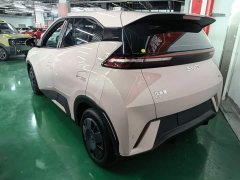 BYD Seagull Glory Edition 305km Vitality Version - ფოტო 4
