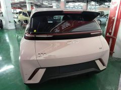BYD Seagull Glory Edition 305km Vitality Version - ფოტო 5