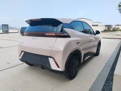 BYD Seagull Glory Edition 305km Vitality Version - ფოტო 6