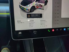 Tesla Model Y Rear-Wheel Drive - ფოტო 11