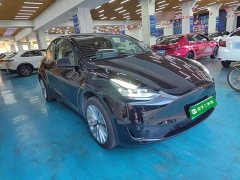 Tesla Model Y Rear-Wheel Drive - ფოტო 3