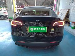 Tesla Model Y Rear-Wheel Drive - ფოტო 5
