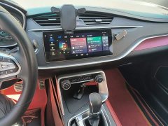 Geely Binrui 1.4T CVT F-Sport Edition - ფოტო 12