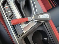 Geely Binrui 1.4T CVT F-Sport Edition - ფოტო 8