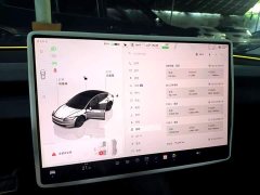 Tesla Model 3 Rear-Wheel Drive - ფოტო 4