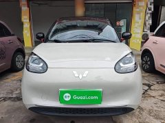 Wuling Binguo 203km Light Enjoy Edition - ფოტო 2