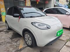 Wuling Binguo 203km Light Enjoy Edition - ფოტო 3