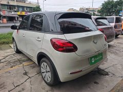 Wuling Binguo 203km Light Enjoy Edition - ფოტო 4
