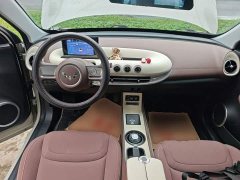 Wuling Binguo 203km Light Enjoy Edition - ფოტო 9